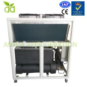 هوا سرد می شود گلیکول سیستم چیلر با خروجی -5C